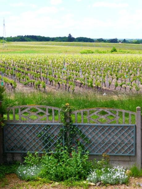 Domaine De La Chapelle - Ch D'Hote Faverolles-sur-Cher Exteriér fotografie